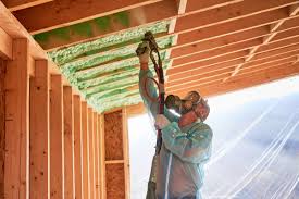 Best Insulation for Existing Homes  in Landis, NC