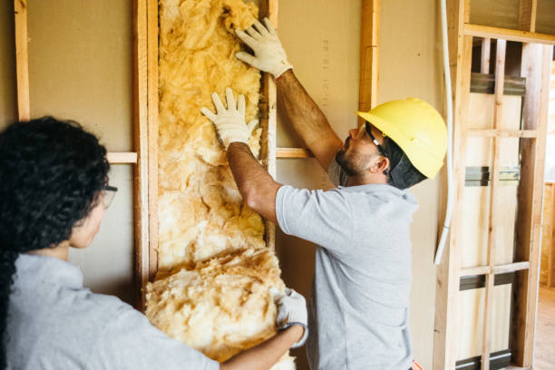 Best Basement Insulation  in Landis, NC